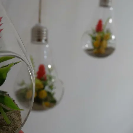 L'orchidea Vendégház *