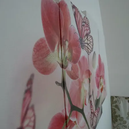 L'orchidea Guest house *
